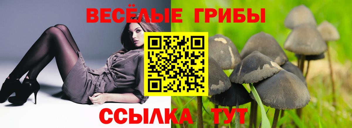 Псилоцибиновые грибы прущие грибы  Вход с VPN  хочу наркоту  Сунжа 