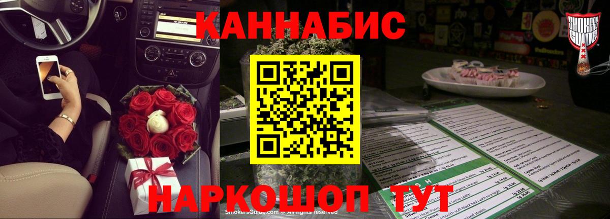 Конопля планчик  Вход с VPN  Конопля марихуана  Сунжа 