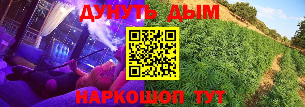 Шишки марихуана конопля Сунжа
